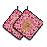 Caroline'S Treasures Norwich Terrier Hearts Love & Valentine'S Day Portrait Pair Of Pot Holders Ss4499Pthd, 7.5Hx7.5W, Multico