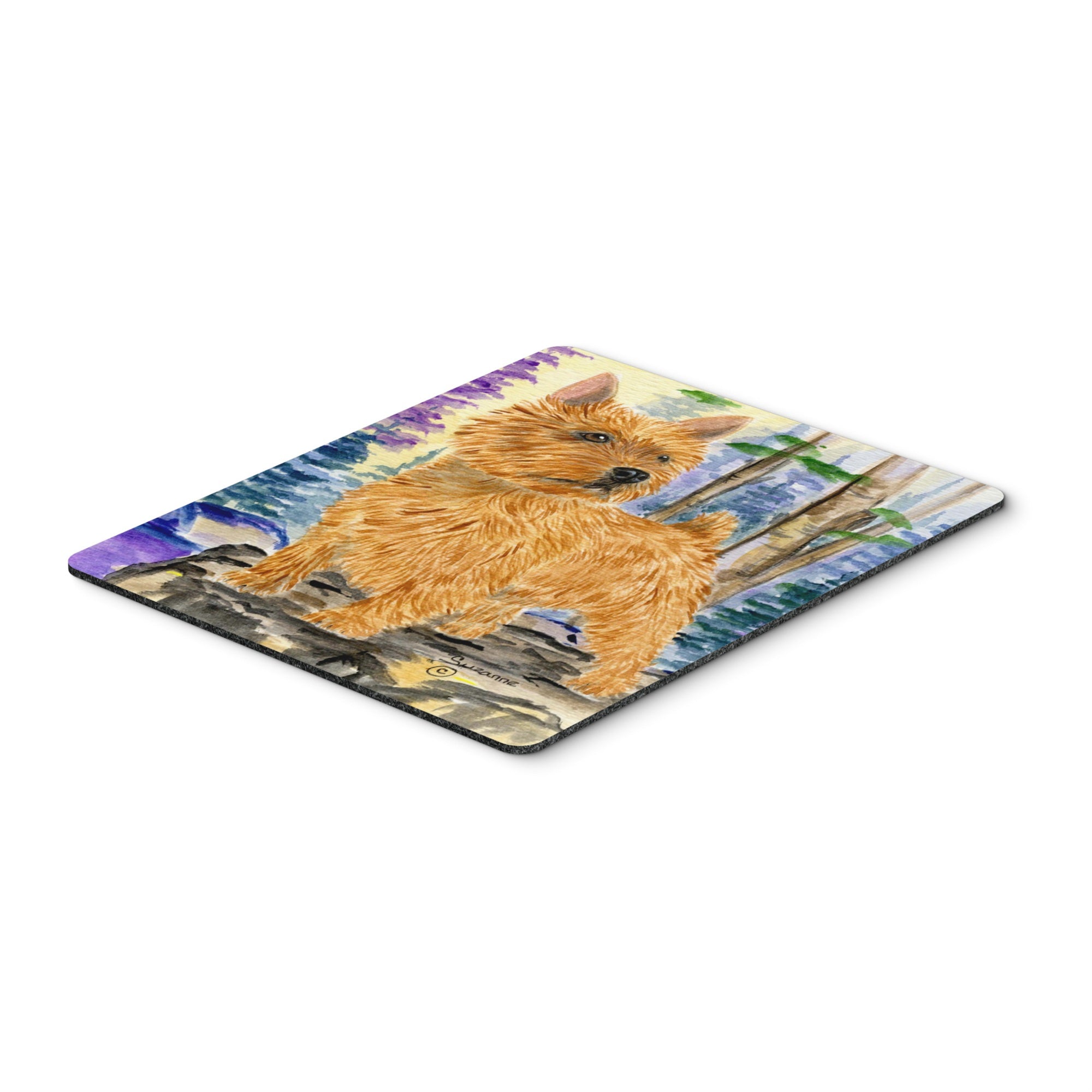 Caroline'S Treasures Mouse/Hot Pad/Trivet, Norwich Terrier (Ss8011Bmp)