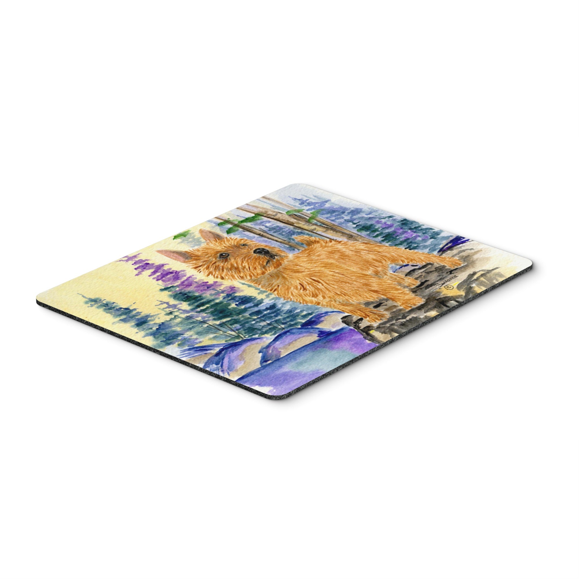 Caroline'S Treasures Mouse/Hot Pad/Trivet, Norwich Terrier (Ss8011Mp)