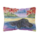 Caroline'S Treasures Ss8043Pw1216 Curly Coated Retriever Decorative Canvas Fabric Pillow, Large, Multicolor