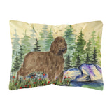 Caroline'S Treasures Ss8131Pw1216 Field Spaniel Decorative Canvas Fabric Pillow, Large, Multicolor