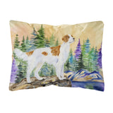 Caroline'S Treasures Ss8146Pw1216 Setter Decorative Canvas Fabric Pillow, Large, Multicolor