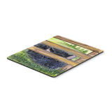 Caroline'S Treasures Mouse/Hot Pad/Trivet, Scottish Terrier (Ss8193Mp)