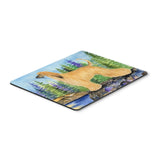 Caroline'S Treasures Mouse/Hot Pad/Trivet, Afghan Hound (Ss8220Mp)