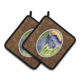 Caroline'S Treasures Cesky Terrier Pair Of Pot Holders Ss8232Pthd, 7.5Hx7.5W, Multicolor