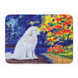 Caroline'S Treasures Pyrenees Floor Mat, 19 X 27, Multicolor