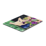 Caroline'S Treasures Mouse/Hot Pad/Trivet, Chihuahua (Ss8289Mp)