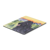 Caroline'S Treasures Mouse/Hot Pad/Trivet, Briard (Ss8319Mp)