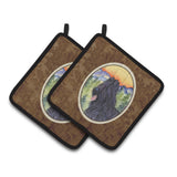Caroline'S Treasures Ss8319Pthd Briard Pot Holders (1 Pair), 7.5 X 7.5, Multicolor