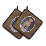 Caroline'S Treasures Ss8355Pthd Starry Night Chesapeake Bay Retriever Pot Holders (1 Pair), 7.5 X 7.5, Multicolor