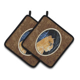 Caroline'S Treasures Starry Night Brussels Griffon Pair Of Pot Holders Ss8362Pthd, 7.5Hx7.5W, Multicolor
