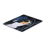 Caroline'S Treasures Mouse/Hot Pad/Trivet, Starry Night Bernese Mountain Dog (Ss8393Mp)