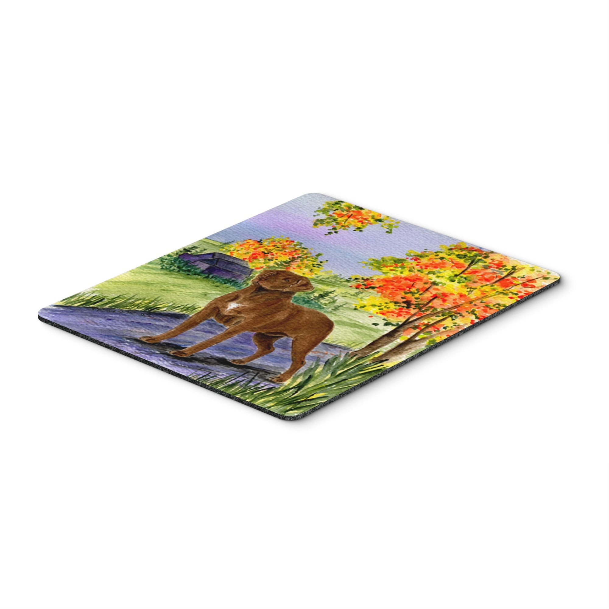 Caroline'S Treasures Mouse/Hot Pad/Trivet, Chesapeake Bay Retriever (Ss8427Mp)
