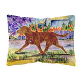 Caroline'S Treasures Ss8435Pw1216 Chesapeake Bay Retriever Decorative Canvas Fabric Pillow, Large, Multicolor