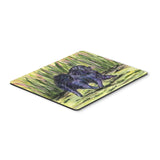 Caroline'S Treasures Mouse/Hot Pad/Trivet, Pomeranian (Ss8444Mp)