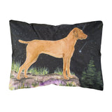 Caroline'S Treasures Starry Night Vizsla Decorative Canvas Fabric Pillow, 12Hx16W, Multicolor