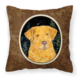 Caroline'S Treasures Ss8487Pw1414 Starry Night Chesapeake Bay Retriever Fabric Pillow, Large, Multicolor