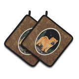Caroline'S Treasures Starry Night Chow Pair Of Pot Holders Ss8488Pthd, 7.5Hx7.5W, Multicolor