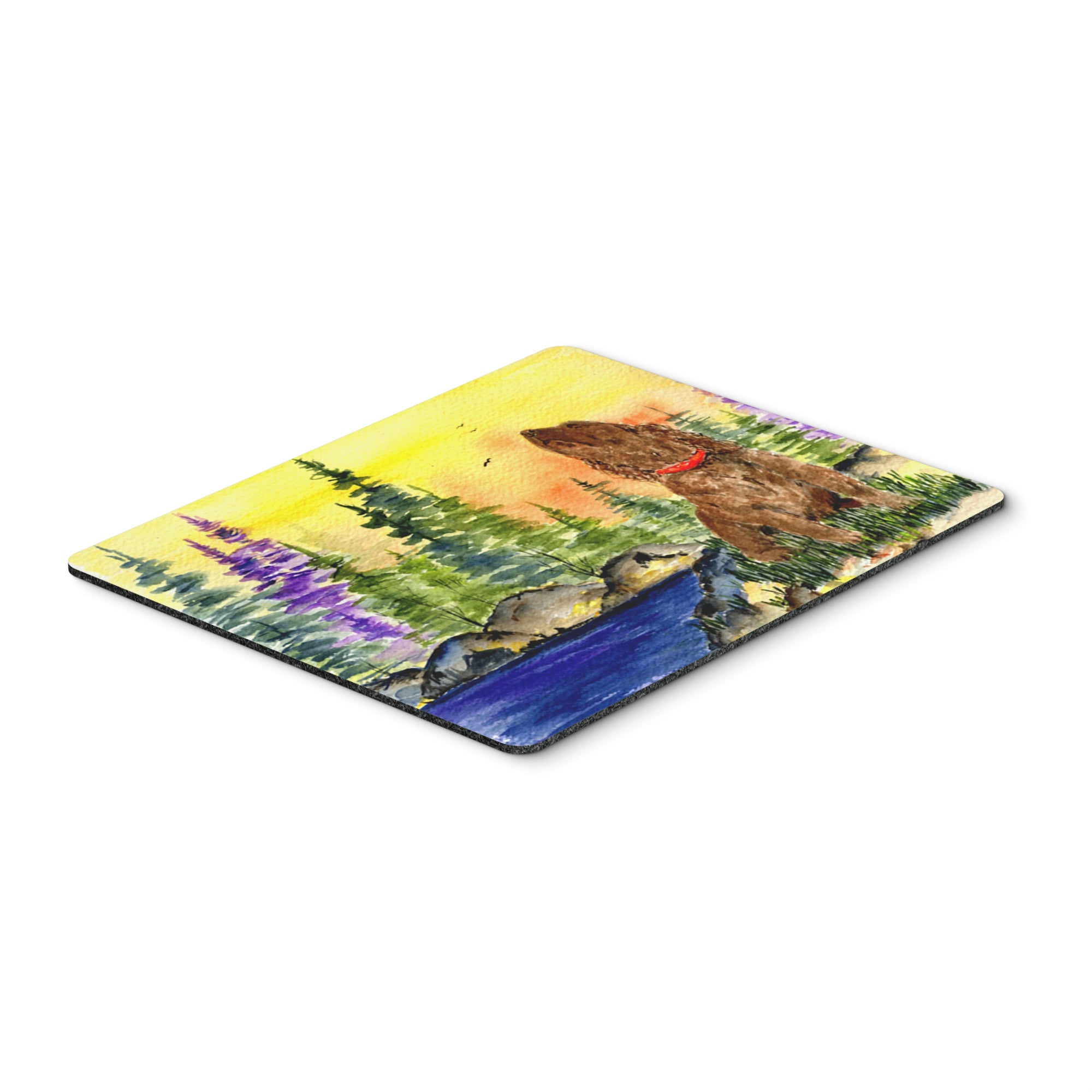 Caroline'S Treasures Mouse/Hot Pad/Trivet, American Water Spaniel (Ss8509Mp)