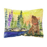 Caroline'S Treasures Ss8509Pw1216 American Water Spaniel Decorative Canvas Fabric Pillow, Large, Multicolor
