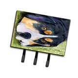 Caroline'S Treasures Ss8596Th68 Entlebucher Mountain Dog Leash Holder Or Key Hook, Large, Multicolor