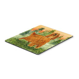 Caroline'S Treasures Mouse/Hot Pad/Trivet, Irish Setter (Ss8625Mp)
