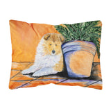 Caroline'S Treasures Ss8667Pw1216 Sheltie Decorative Canvas Fabric Pillow, Large, Multicolor