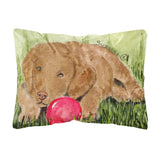 Caroline'S Treasures Ss8684Pw1216 Curly Coated Retriever Decorative Canvas Fabric Pillow, Large, Multicolor