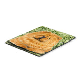 Caroline'S Treasures Mouse/Hot Pad/Trivet, Chow Chow (Ss8709Mp)