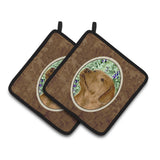 Caroline'S Treasures Chocolate Labrador Pair Of Pot Holders Ss8743Pthd, 7.5Hx7.5W, Multicolor