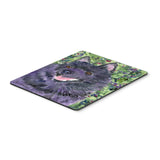 Caroline'S Treasures Mouse/Hot Pad/Trivet, Schipperke (Ss8822Mp)