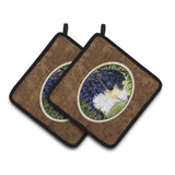 Caroline'S Treasures Bernese Mountain Dog Pair Of Pot Holders Ss8832Pthd, 7.5Hx7.5W, Multicolor