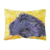 Caroline'S Treasures Ss8839Pw1216 Pomeranian Decorative Canvas Fabric Pillow, Large, Multicolor