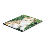 Caroline'S Treasures Mouse/Hot Pad/Trivet, Australian Shepherd (Ss8847Mp)