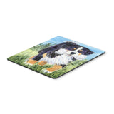Caroline'S Treasures Mouse/Hot Pad/Trivet, Bernese Mountain Dog (Ss8860Mp)
