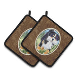 Caroline'S Treasures Bernese Mountain Dog Pair Of Pot Holders Ss8860Pthd, 7.5Hx7.5W, Multicolor