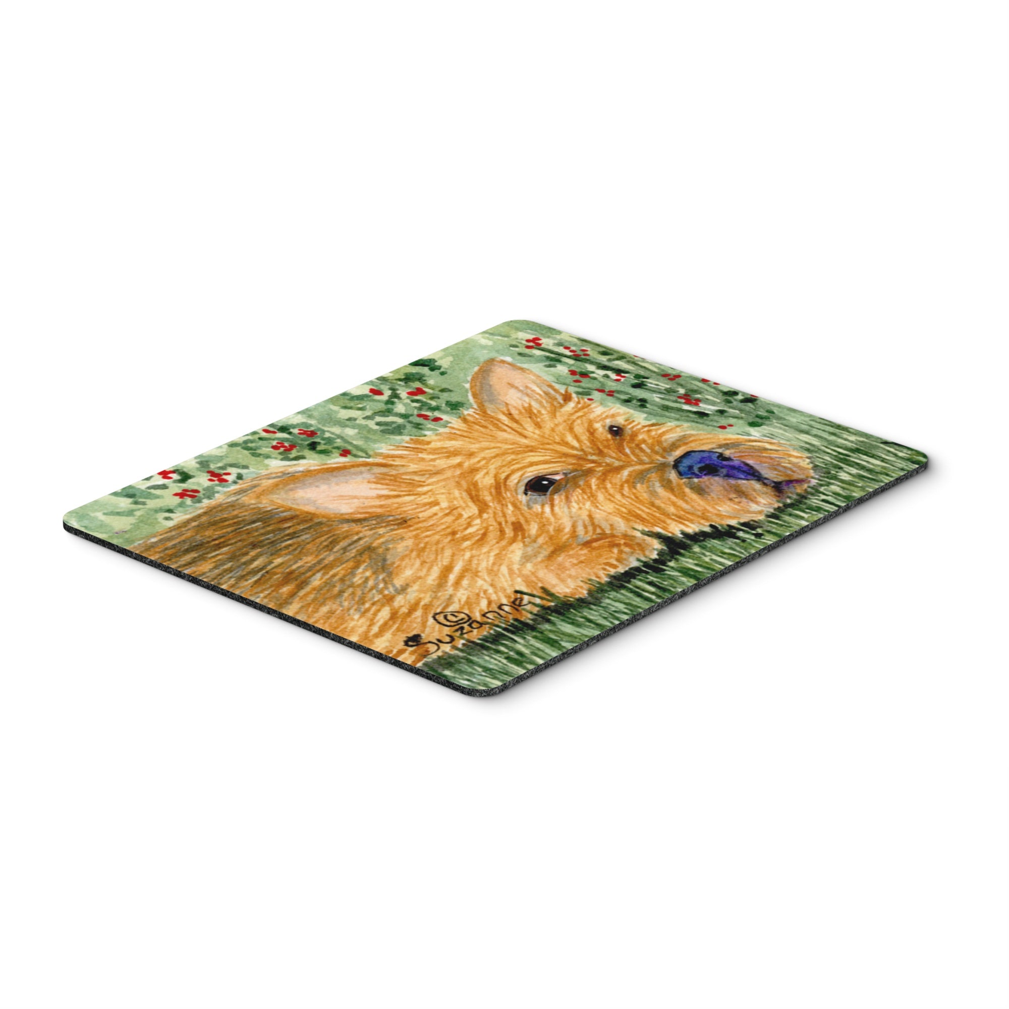 Caroline'S Treasures Norwich Terrier Mouse Pad/Hot Pad/Trivet (Ss8862Mp)