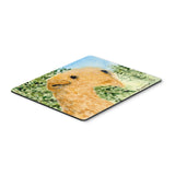 Caroline'S Treasures Lakeland Terrier Mouse Pad/Hot Pad/Trivet (Ss8888Mp)