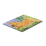 Caroline'S Treasures Norwich Terrier Mouse Pad/Hot Pad/Trivet (Ss8910Mp)