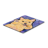 Caroline'S Treasures Norwich Terrier Mouse Pad/Hot Pad/Trivet (Ss8911Mp)