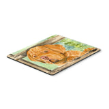 Caroline'S Treasures Dogue De Bordeaux Mouse Pad/Hot Pad/Trivet (Ss8926Mp)