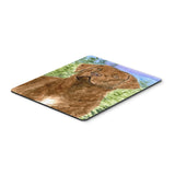 Caroline'S Treasures Chesapeake Bay Retriever Mouse Pad/Hot Pad/Trivet (Ss8933Mp)