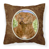 Caroline'S Treasures Ss8933Pw1414 Chesapeake Bay Retriever Decorative Canvas Fabric Pillow, Large, Multicolor