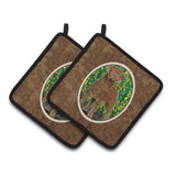 Caroline'S Treasures Chesapeake Bay Retriever Pair Of Pot Holders Ss8969Pthd, 7.5Hx7.5W, Multicolor