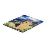 Caroline'S Treasures Norwich Terrier Mouse Pad/Hot Pad/Trivet (Ss8984Mp)