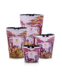 Baobab Collection Massasso Sacred Trees Max 24 Candle