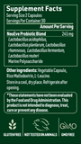 Vaginal Probiotic