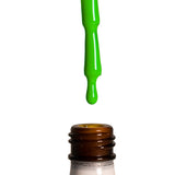 Lechat - Perfect Match - #120 Spearmint .5oz(Duo)(Limited)