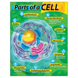 Parts of a Cell Learning Chart, 17 x 22