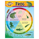 Life Cycle of a Frog Learning Chart, 17 x 22